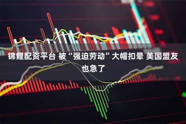 锦鲤配资平台 被“强迫劳动”大帽扣晕 美国盟友也急了
