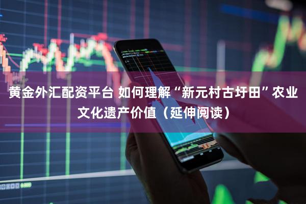 黄金外汇配资平台 如何理解“新元村古圩田”农业文化遗产价值（延伸阅读）